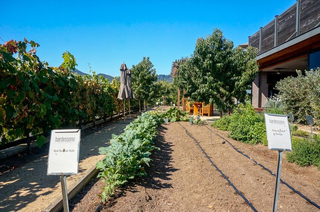 Bardessono Hotel And Spa Yountville Exterior photo